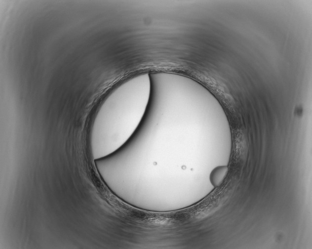 X0000099300206200805020805