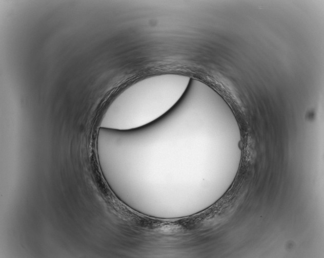 X0000099300210200805020805