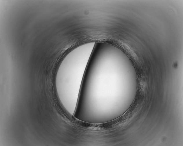 X0000099300211200805020805