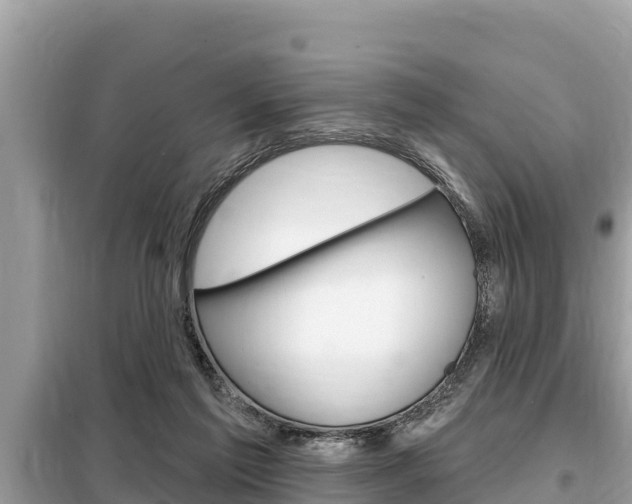 X0000099300213200805020805
