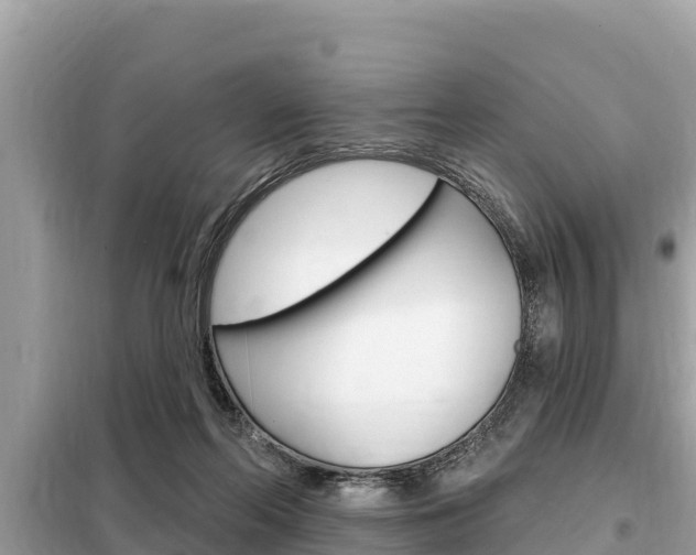 X0000099300214200805020805