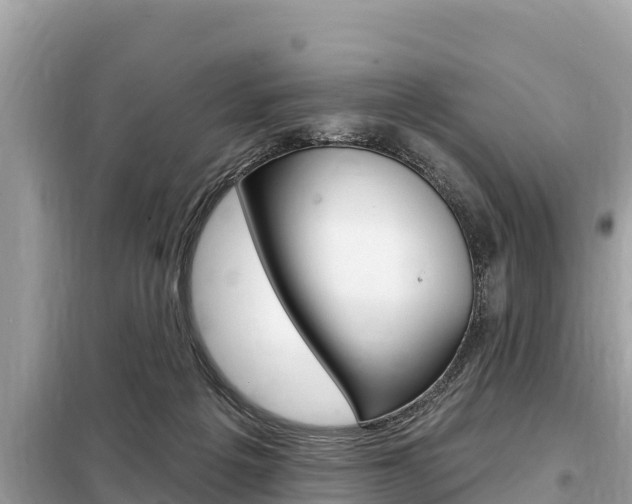 X0000099300217200805020805