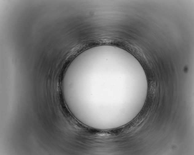 X0000099300220200805020805