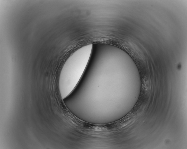 X0000099300223200805020805