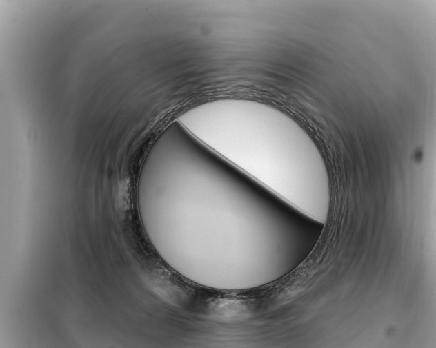 X0000099300224200805020805