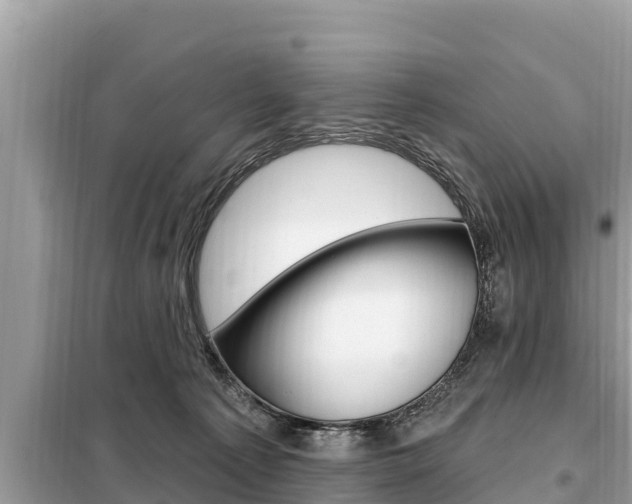 X0000099300225200805020804