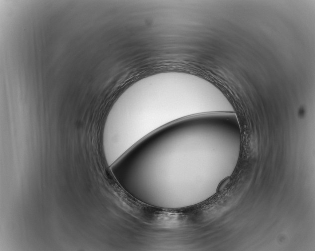 X0000099300227200805020804