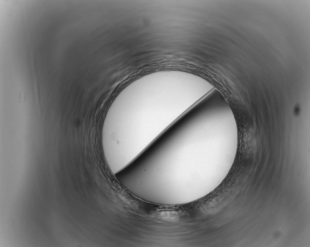 X0000099300228200805020804