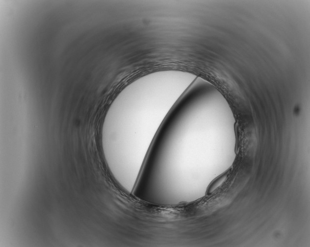 X0000099300229200805020804