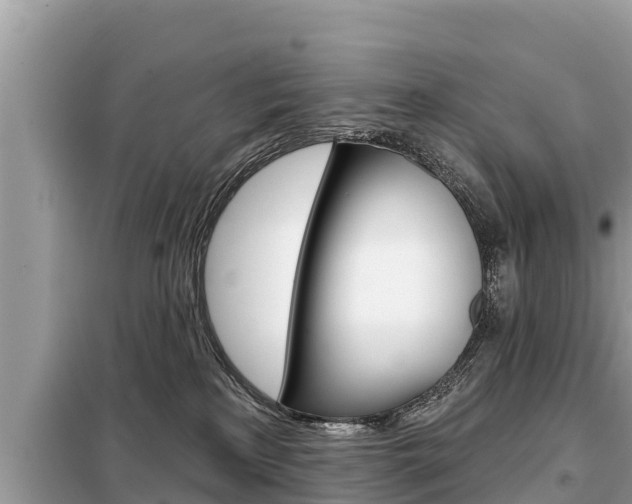 X0000099300233200805020804