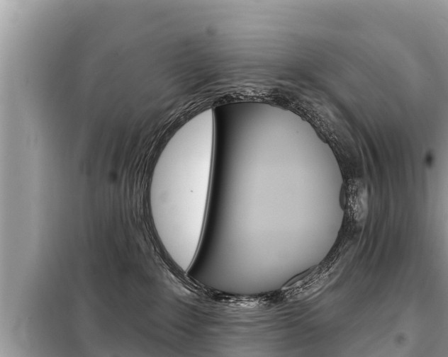 X0000099300235200805020804