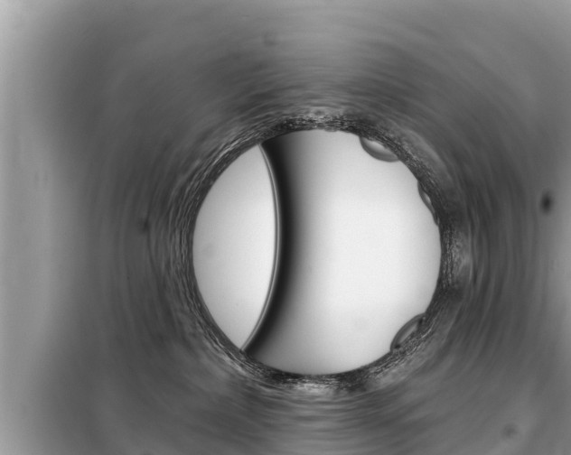 X0000099300236200805020804