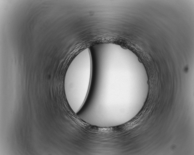 X0000099300240200805020804