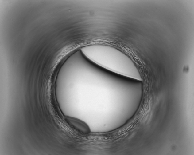 X0000099300242200805020803