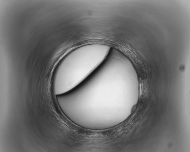X0000099300243200805020803