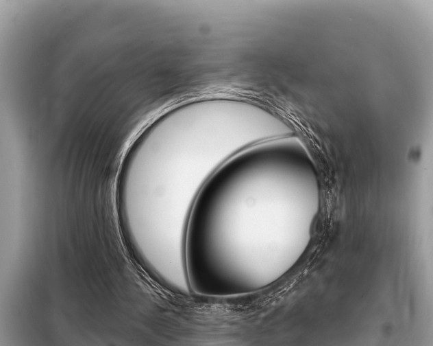 X0000099300244200805020803