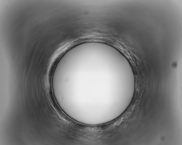 X0000099300245200805020804