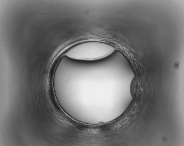 X0000099300247200805020804