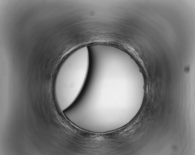 X0000099300249200805020804