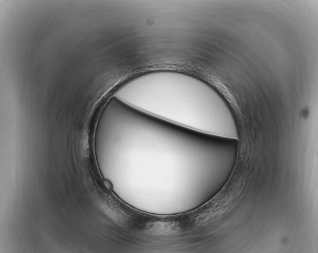 X0000099300251200805020804
