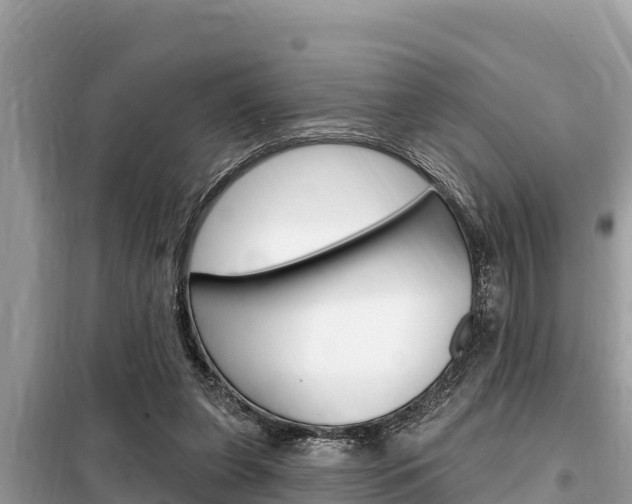 X0000099300255200805020804