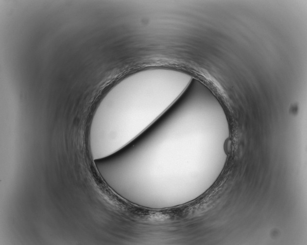 X0000099300257200805020804