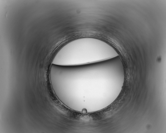 X0000099300258200805020804