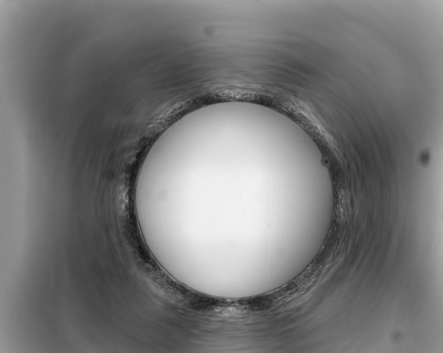 X0000099300259200805020804