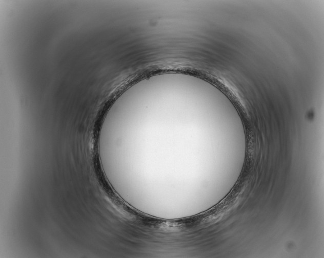 X0000099300261200805020804