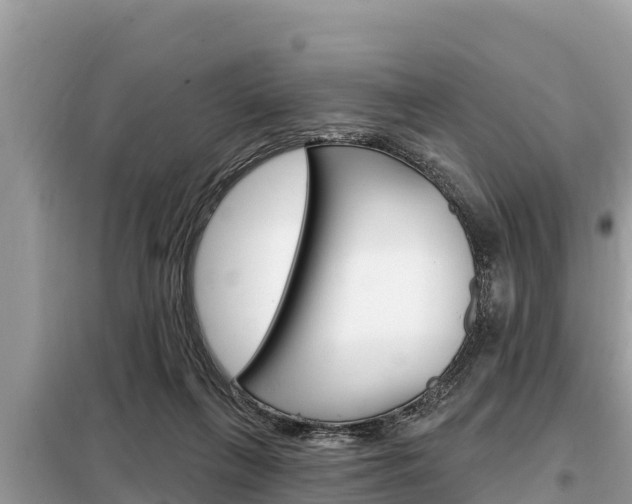 X0000099300263200805020804
