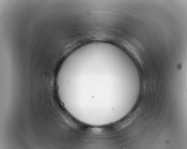 X0000099300265200805020804