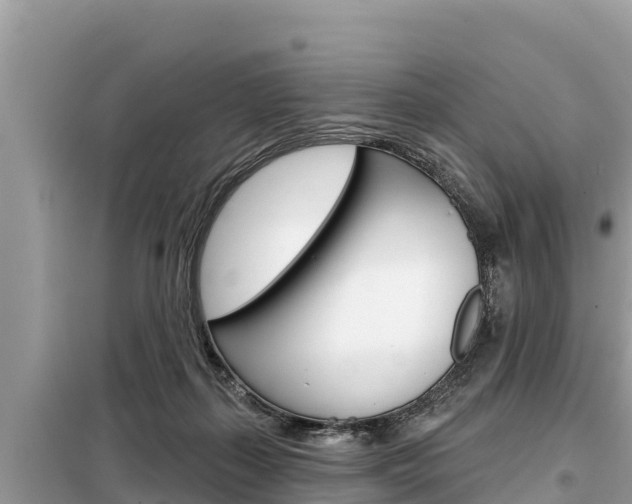 X0000099300267200805020804