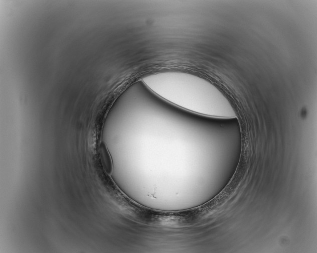 X0000099300268200805020804
