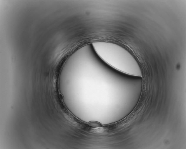 X0000099300269200805020804