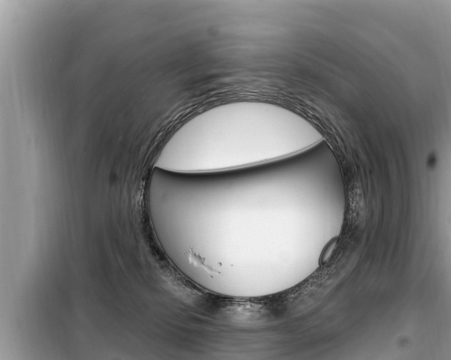 X0000099300278200805020804