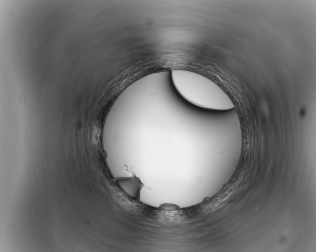 X0000099300281200805020804