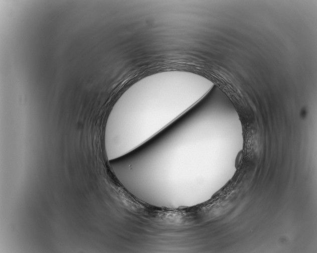 X0000099300282200805020804
