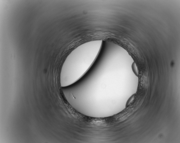 X0000099300283200805020804