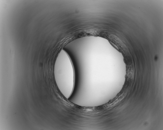 X0000099300285200805020804