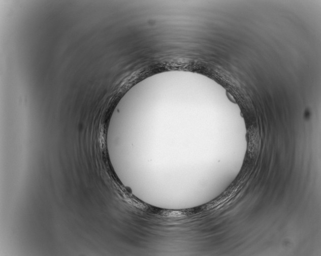 X0000099300287200805020804