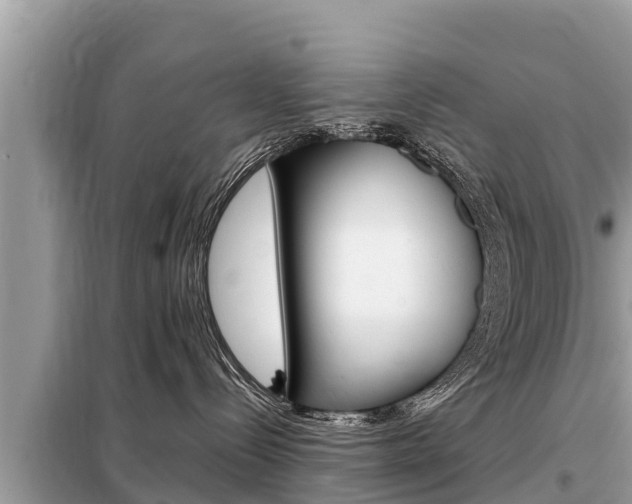 X0000099300288200805020804