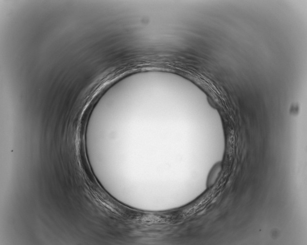 X0000099300290200805020803