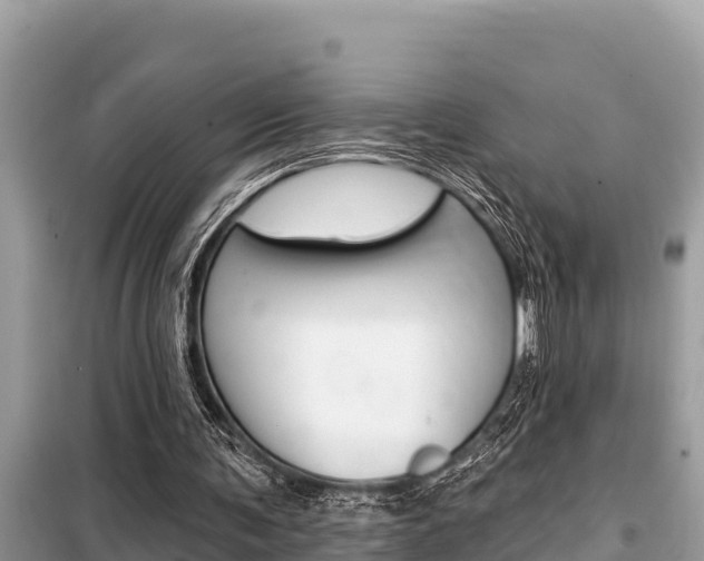 X0000099300291200805020803