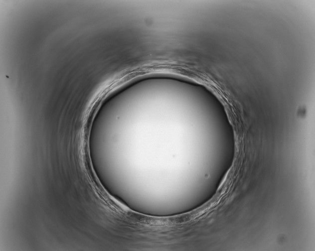 X0000099300293200805020803