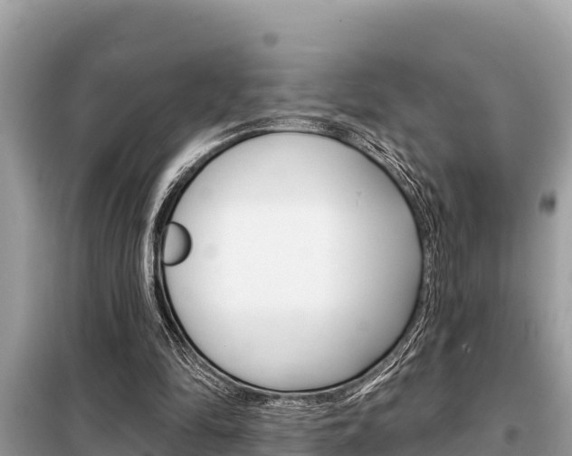 X0000099300294200805020803