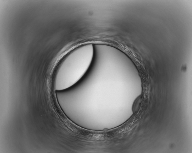 X0000099300295200805020803