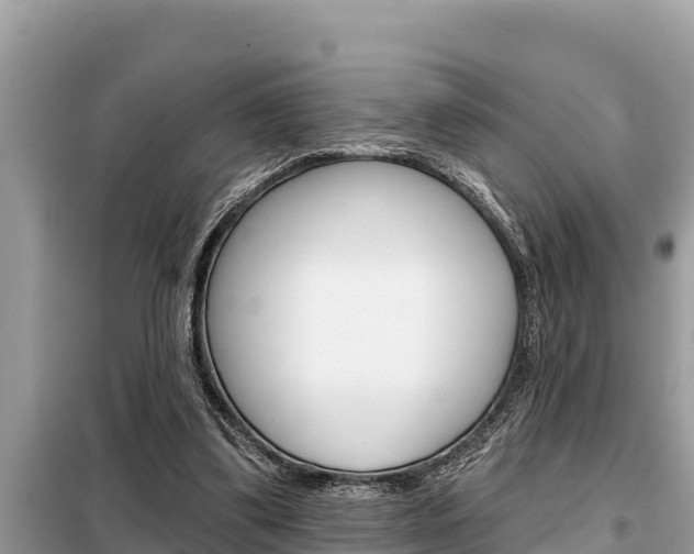 X0000099300299200805020803