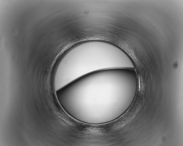 X0000099300300200805020803