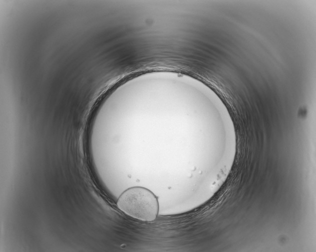 X0000099300302200805020803