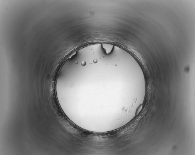X0000099300305200805020803